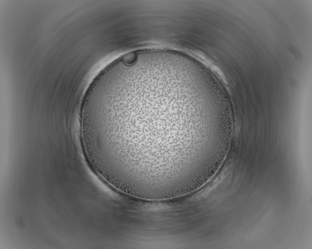 X0000115241239200911131657