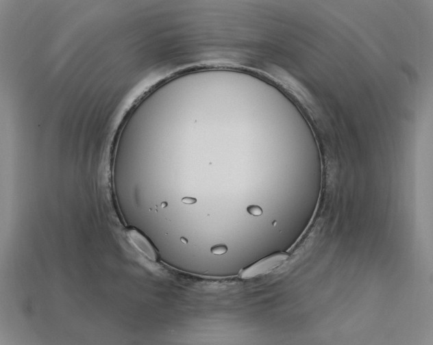 X0000115241240200911131657