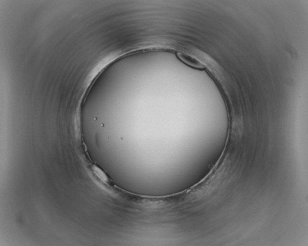 X0000115241242200911131657