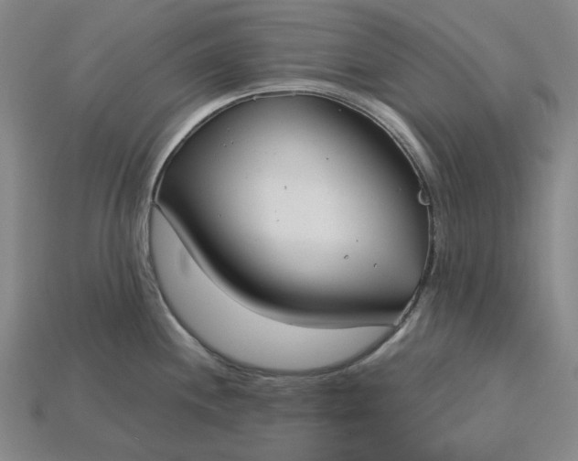 X0000115241244200911131657