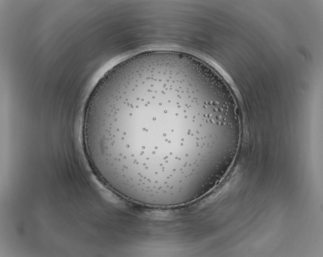 X0000115241245200911131657