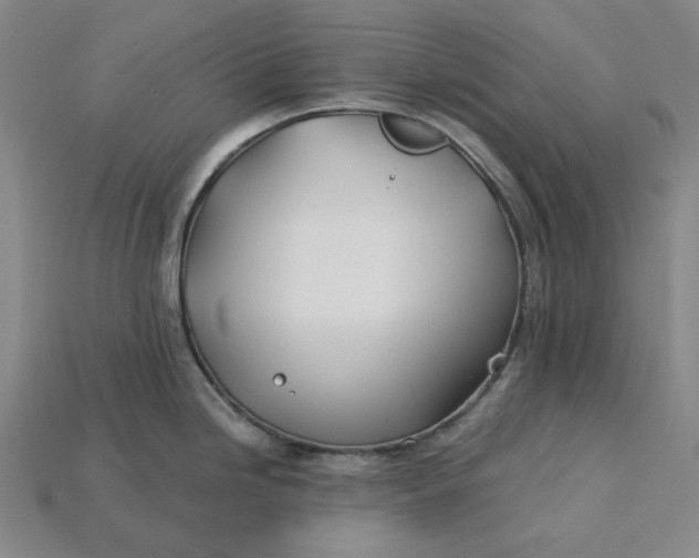 X0000115241246200911131657