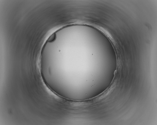 X0000115241247200911131657