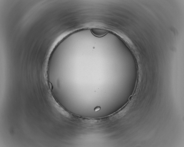 X0000115241248200911131657