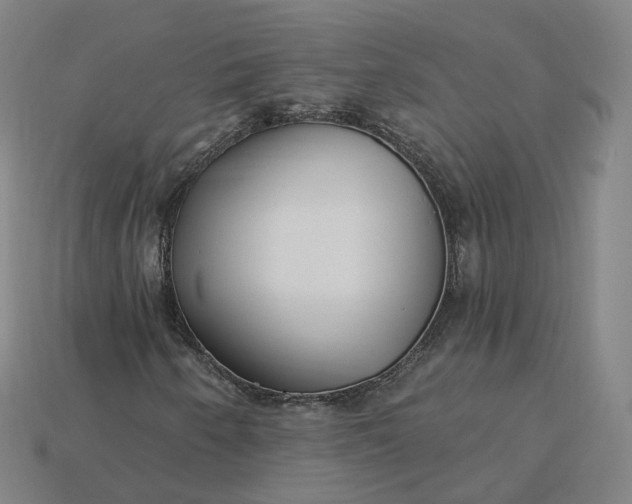 X0000115241250200911131657