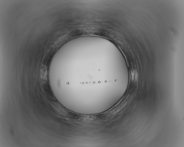 X0000115241251200911131657