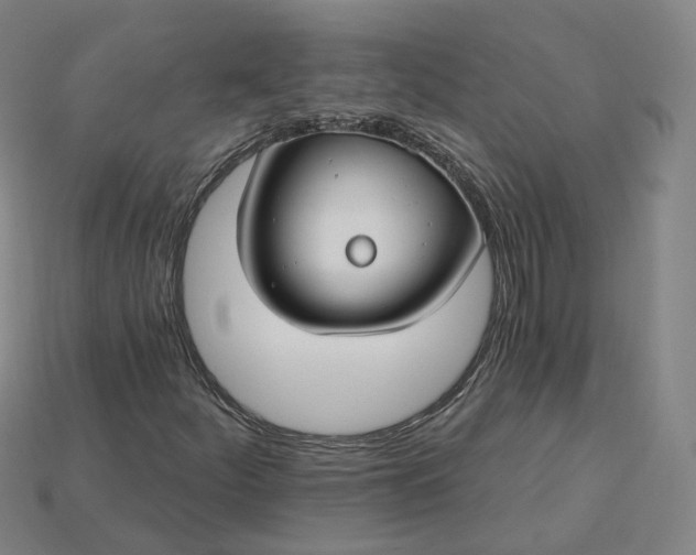 X0000115241252200911131657