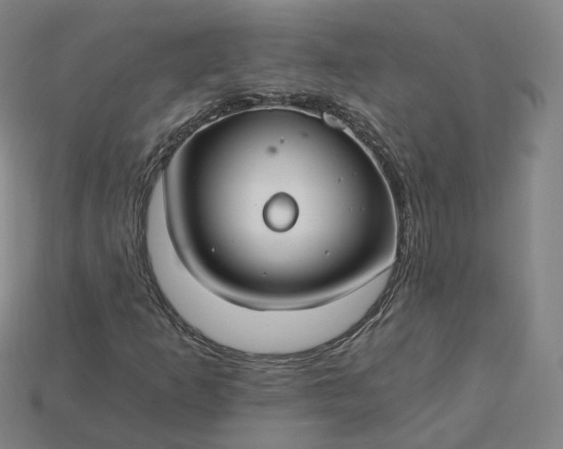 X0000115241253200911131657