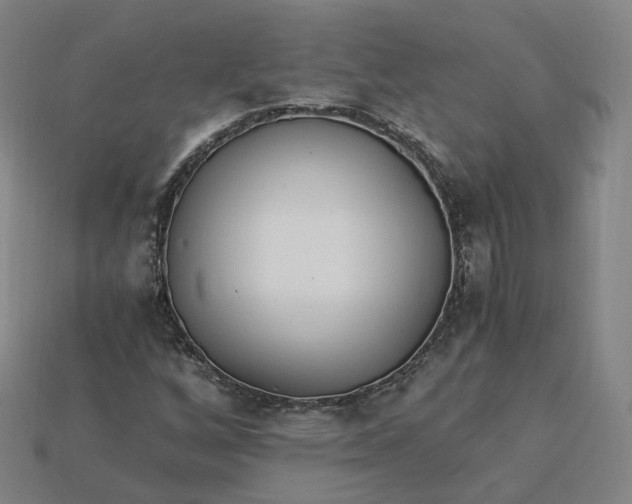 X0000115241256200911131657