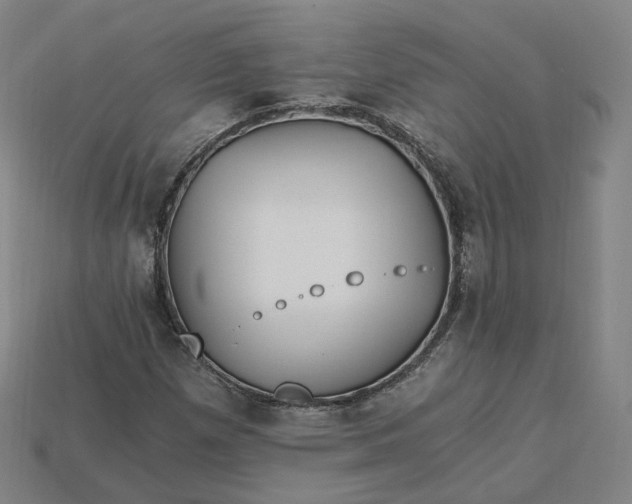 X0000115241257200911131657