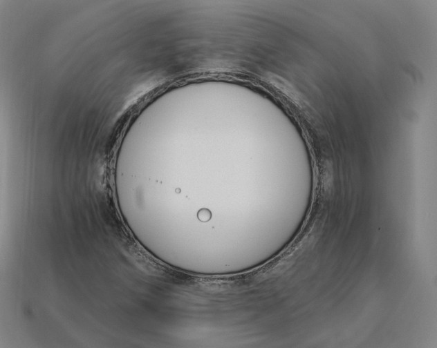 X0000115241258200911131657