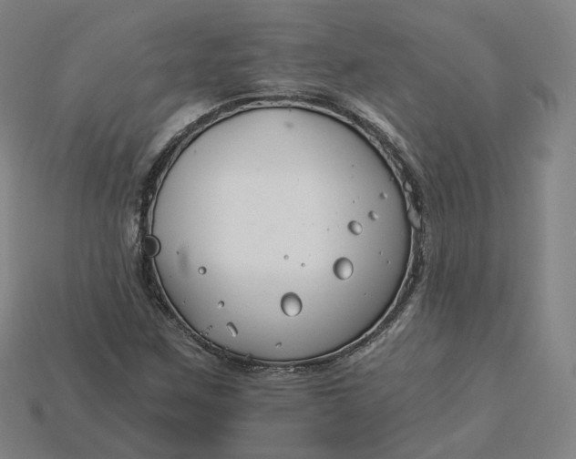 X0000115241259200911131657