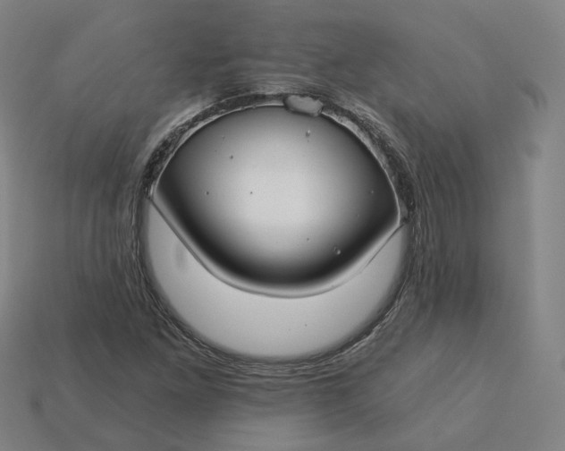 X0000115241261200911131657