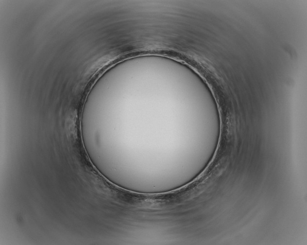 X0000115241265200911131657