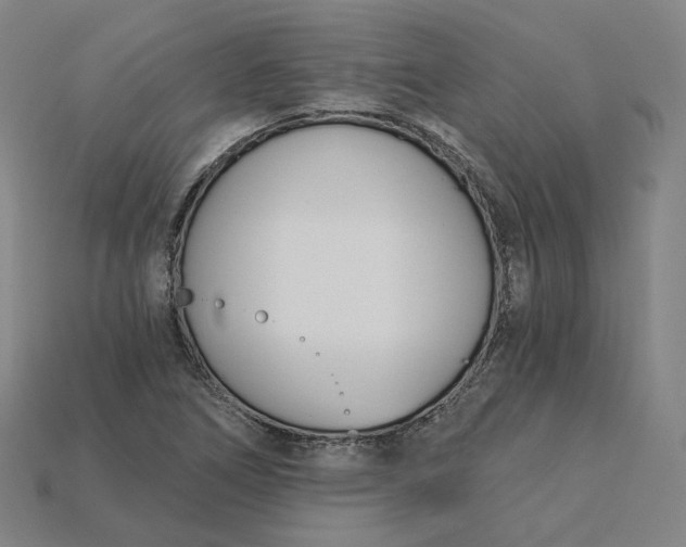 X0000115241266200911131657