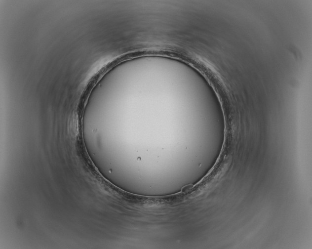 X0000115241267200911131657