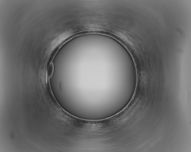 X0000115241269200911131657