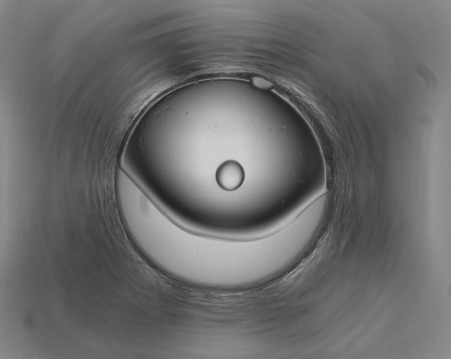 X0000115241273200911131656