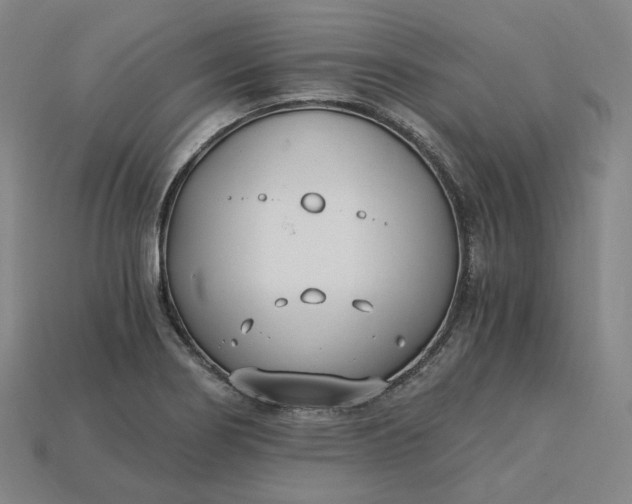 X0000115241274200911131656