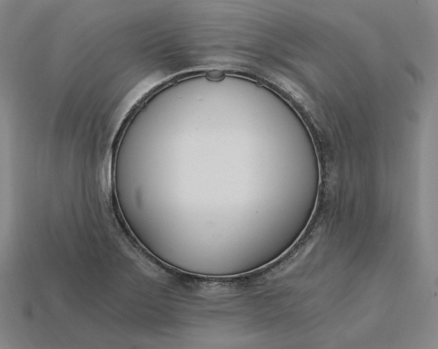 X0000115241275200911131656
