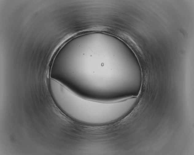 X0000115241276200911131656