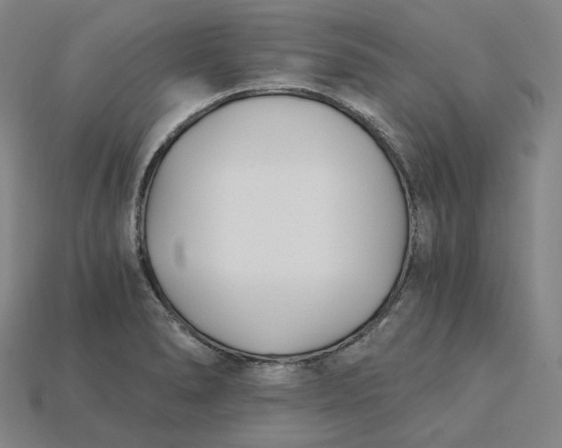 X0000115241278200911131656
