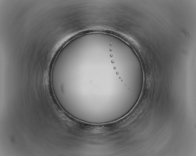 X0000115241279200911131656