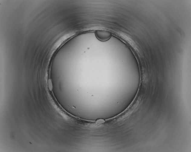 X0000115241282200911131656