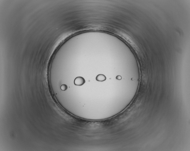 X0000115241283200911131656
