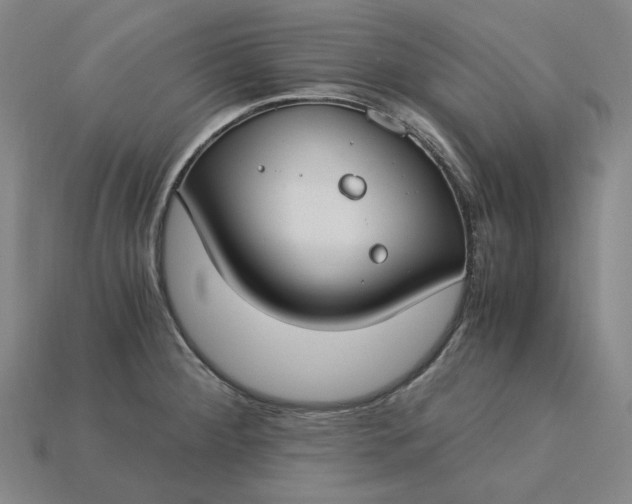 X0000115241284200911131656