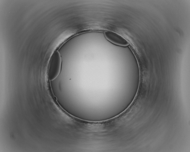 X0000115241285200911131656