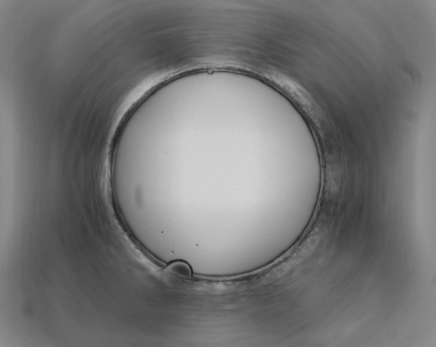 X0000115241286200911131656