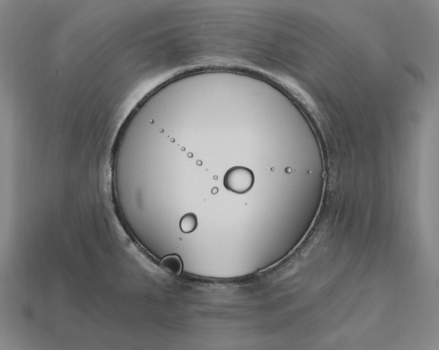 X0000115241287200911131656