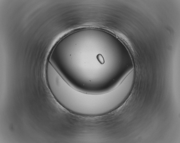 X0000115241288200911131656