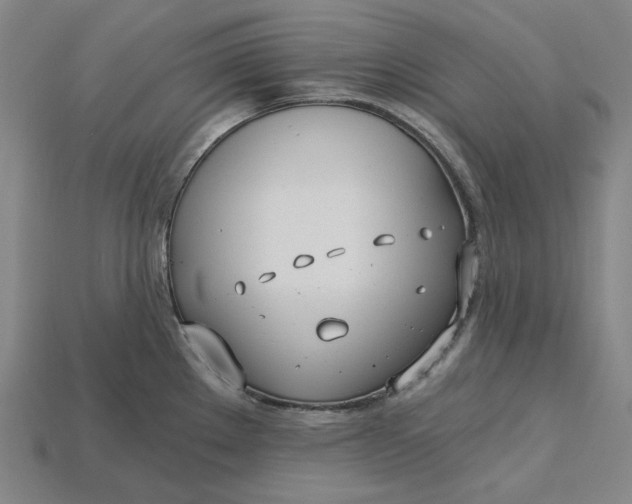 X0000115241289200911131656