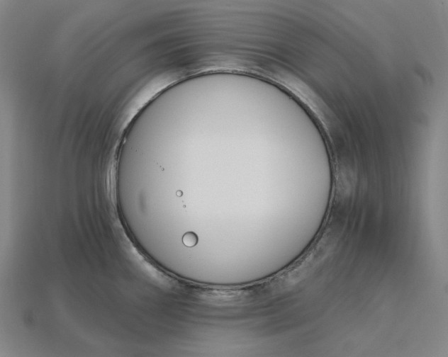 X0000115241290200911131656