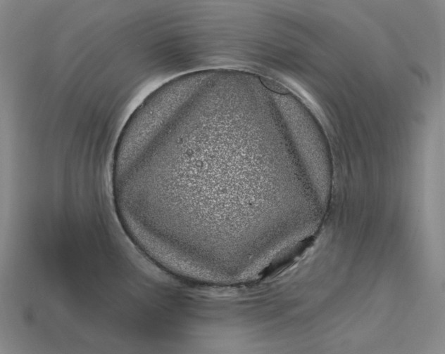 X0000115241291200911131656