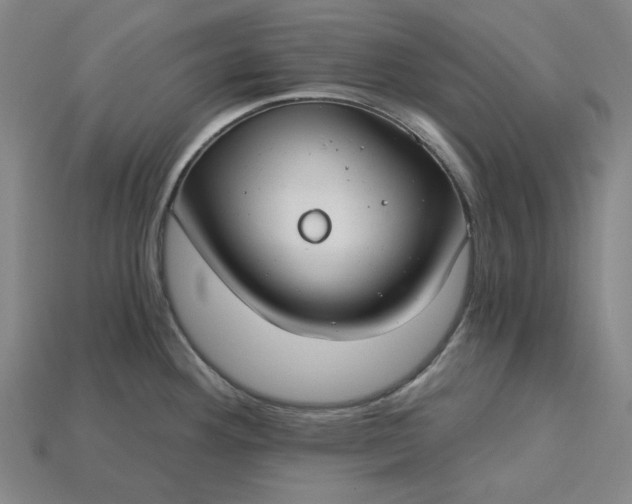X0000115241292200911131656