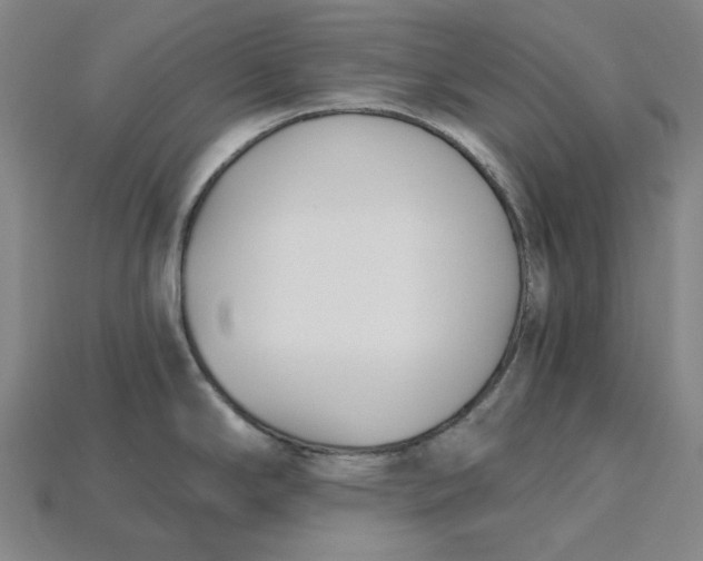 X0000115241294200911131656