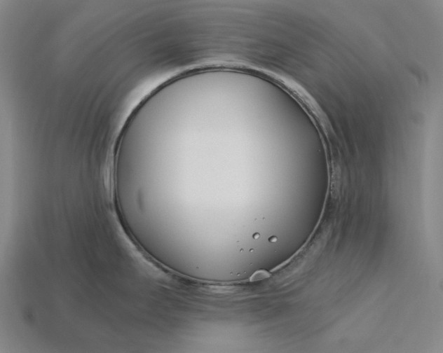 X0000115241295200911131656