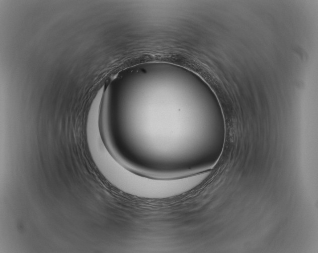 X0000115241298200911131656