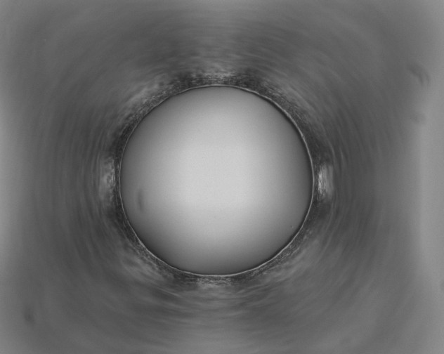 X0000115241299200911131656