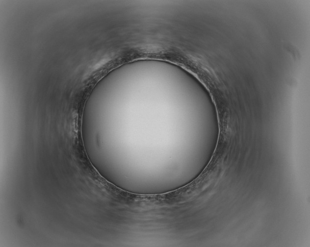 X0000115241301200911131656