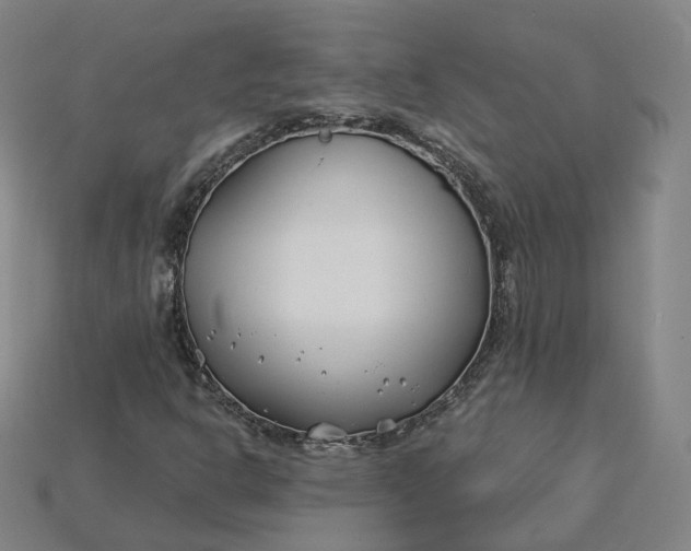 X0000115241302200911131656