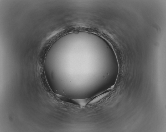 X0000115241303200911131656