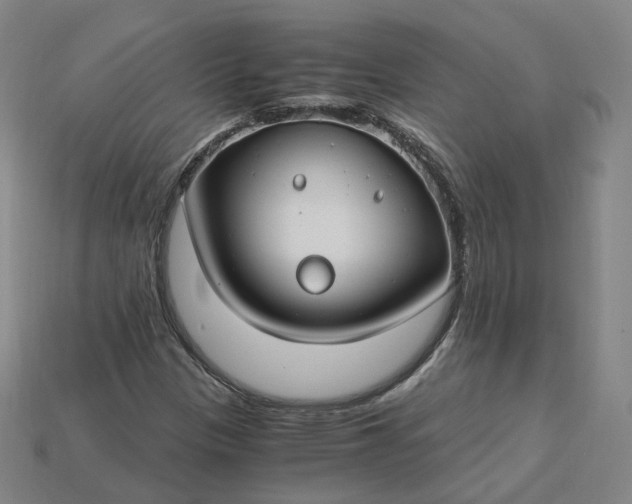 X0000115241305200911131656