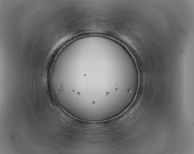 X0000115241307200911131656