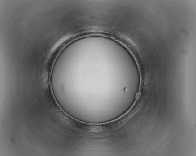 X0000115241310200911131656