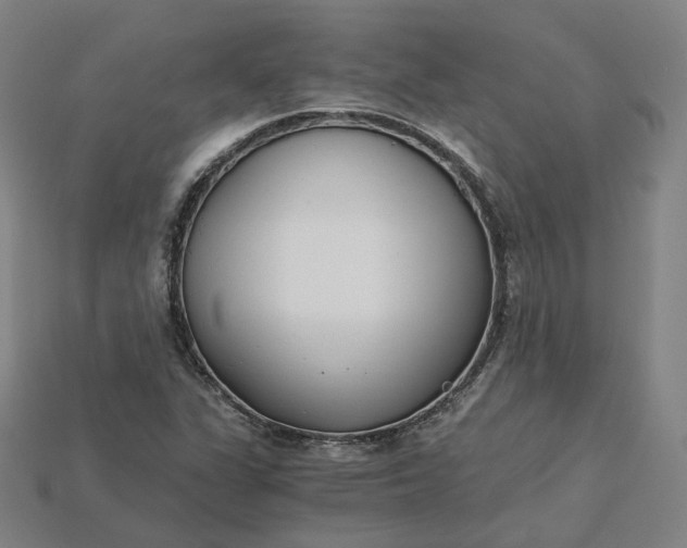 X0000115241311200911131656