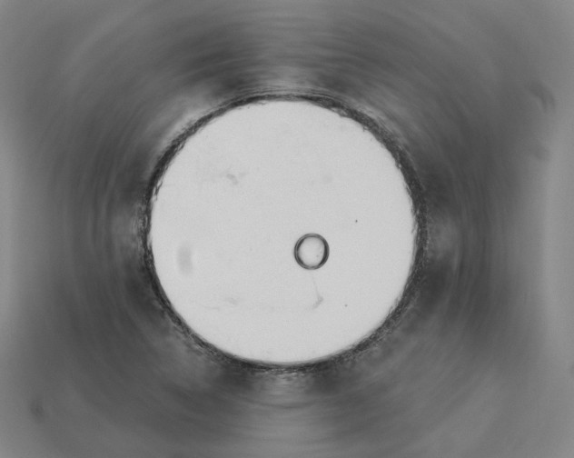 X0000115241314200911131656